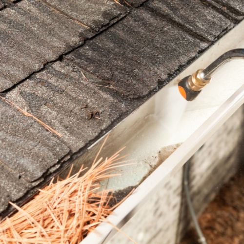 Gutter Cleaning in Tampa, FL