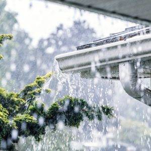 Gutter Services in Tampa, FL