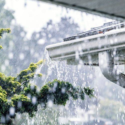 Gutter Services in Tampa, FL