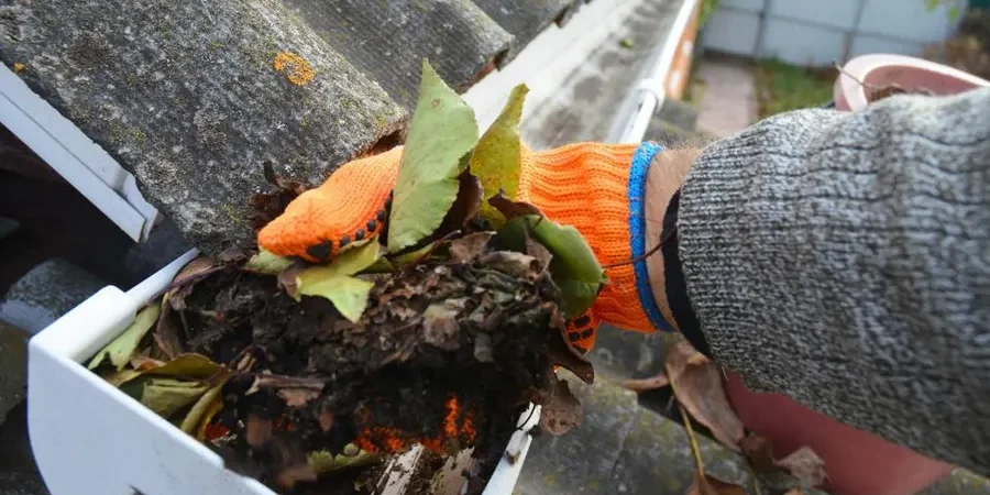 Gutter Cleaning
