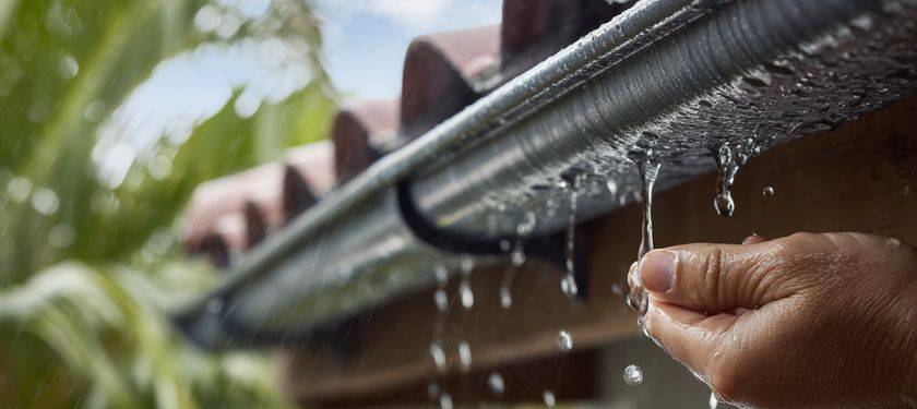 how often to clean gutters Florida