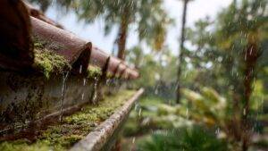 Leaking seamless gutters in Florida with algae buildup and water dripping during heavy rain gutter leaks in Florida