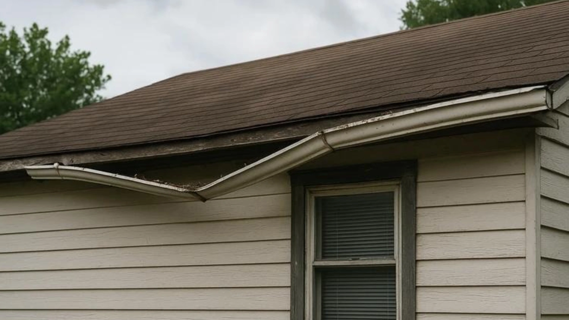 gutter cleaning Florida neglected gutters causing fascia rot and structural damage